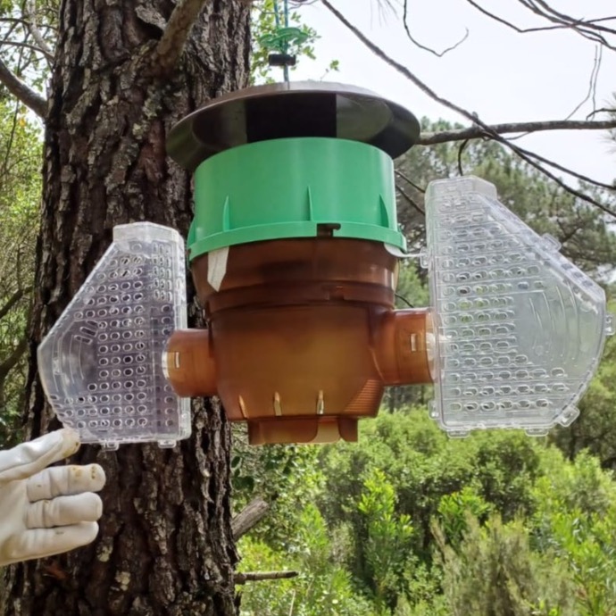 velutina control Beevital